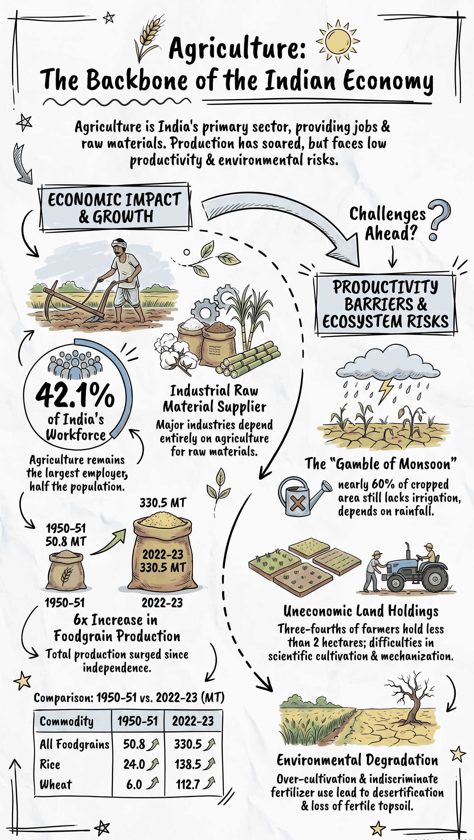 Infographic